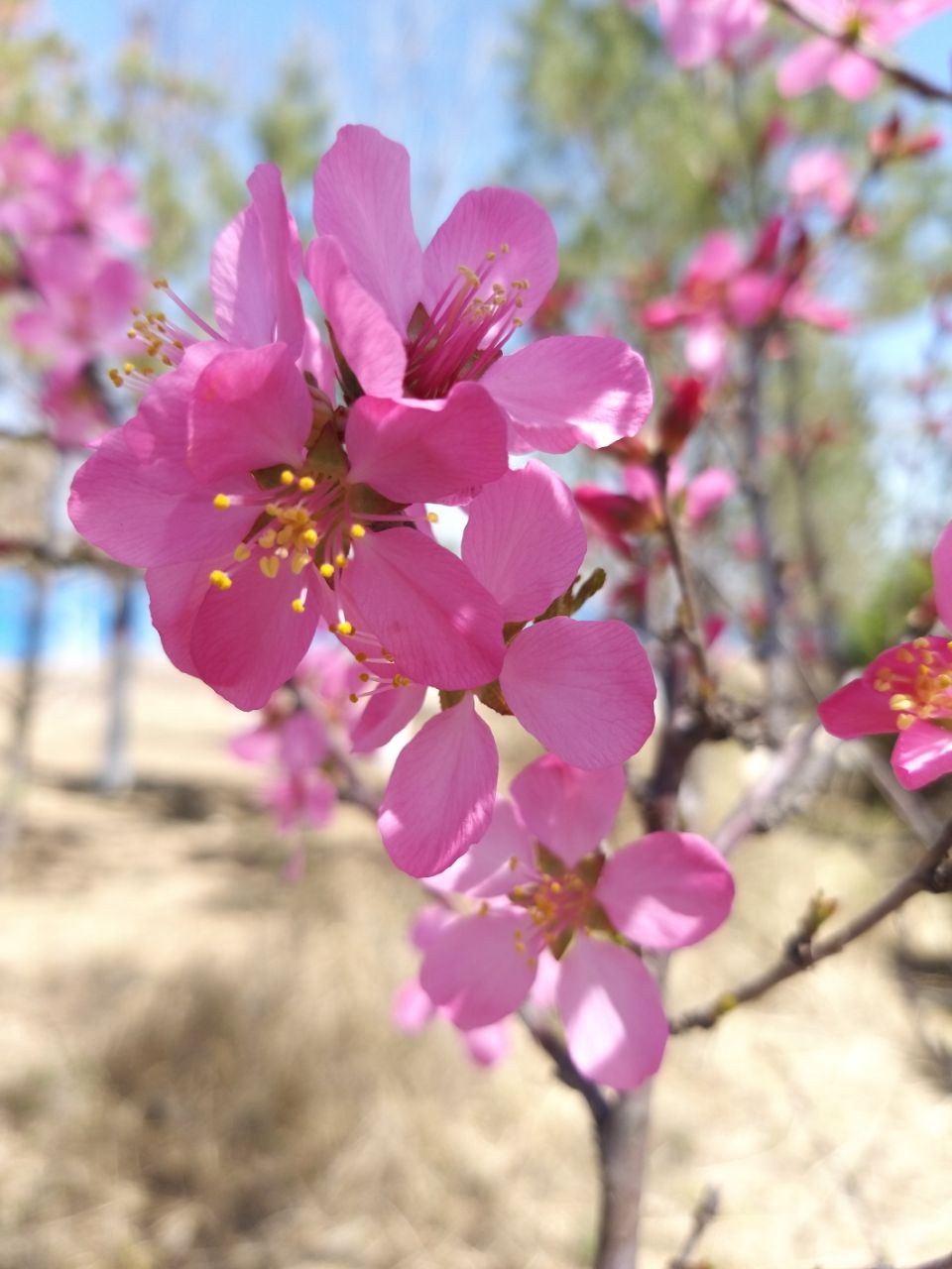 20190413_7412259_1555123290414.jpg
