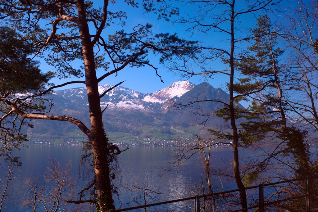 9DS_1362.jpg