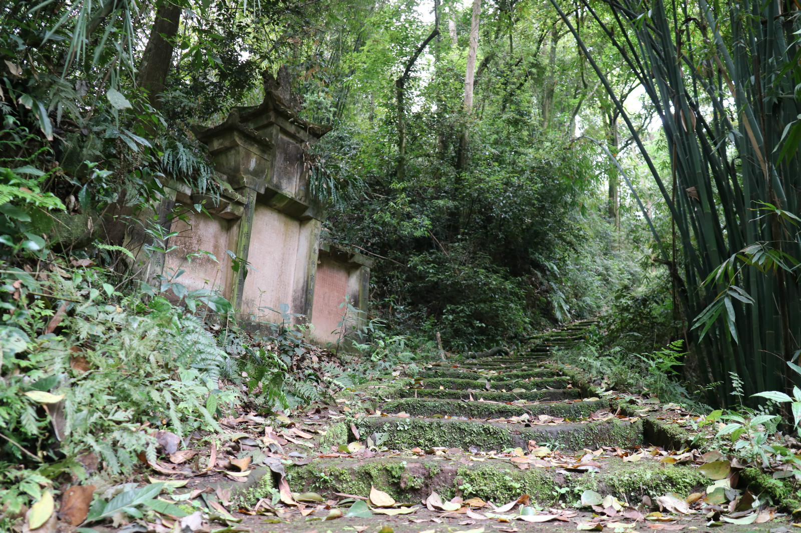 蒲江茶马古道图片