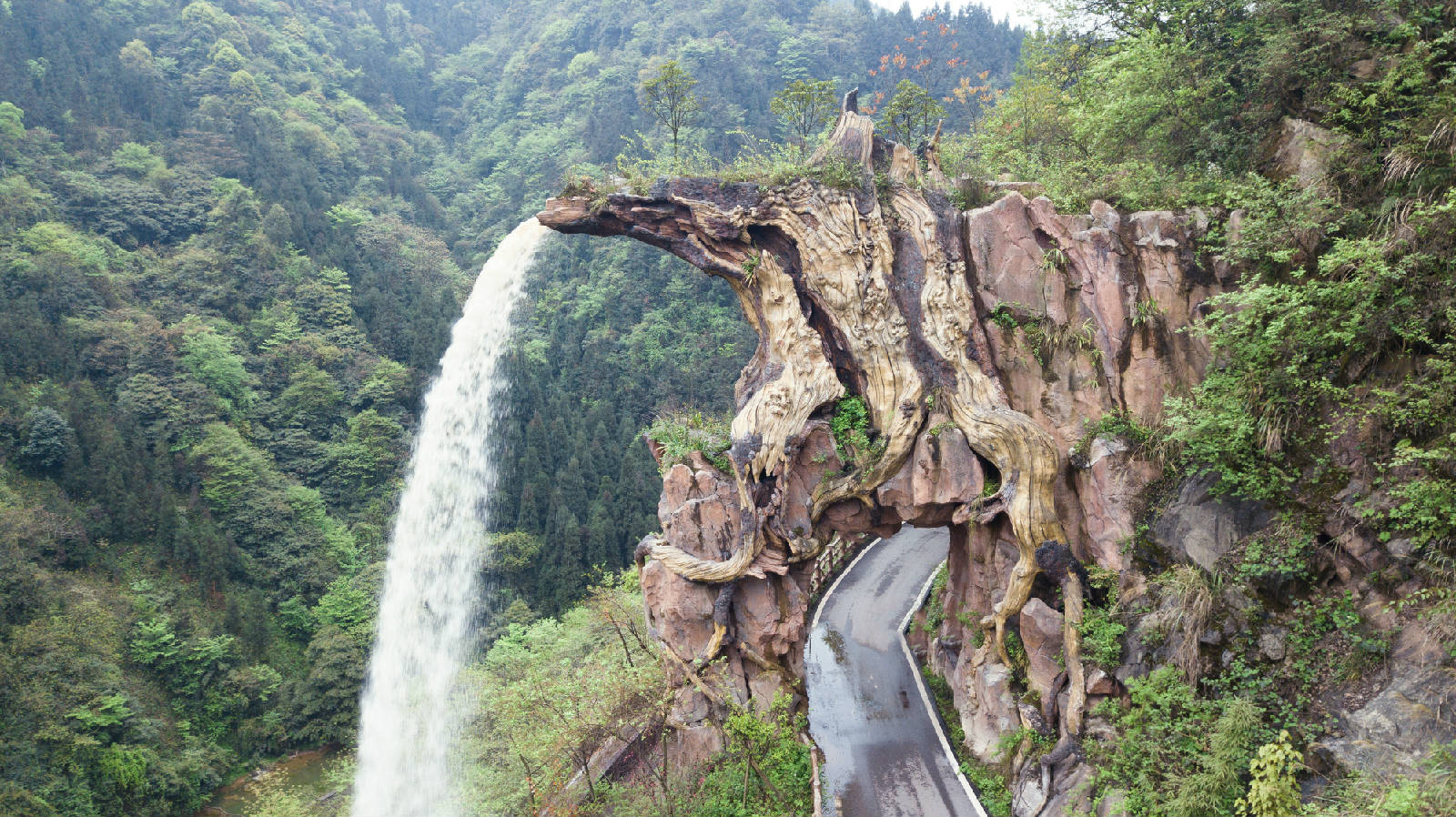 四川邛崃南宝山景区图片