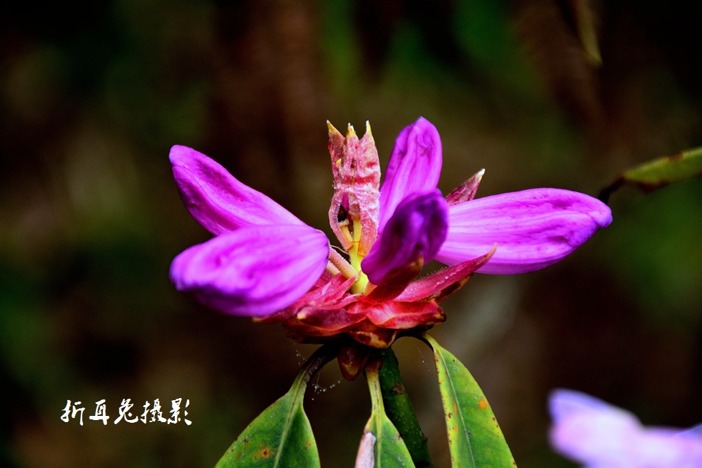 DSC_7922.jpg