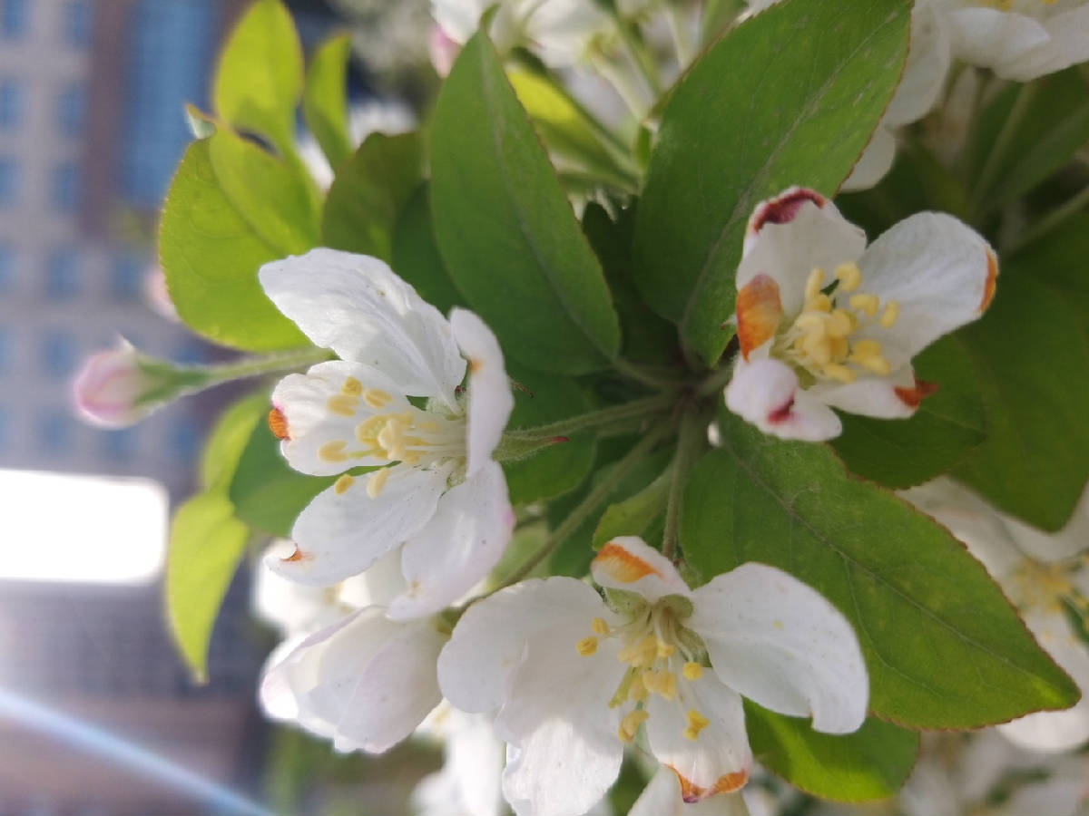 20190420_080353.jpg