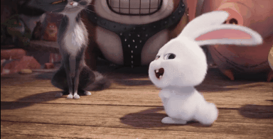 成都手撕烤兔的做法【图文】