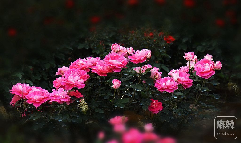 190906kdxprdf2bdrr9ujr.jpg