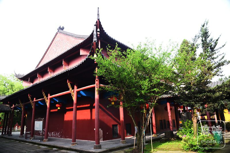 九江能仁寺风景随拍