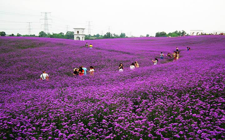五一小长假成都周边去哪里玩?