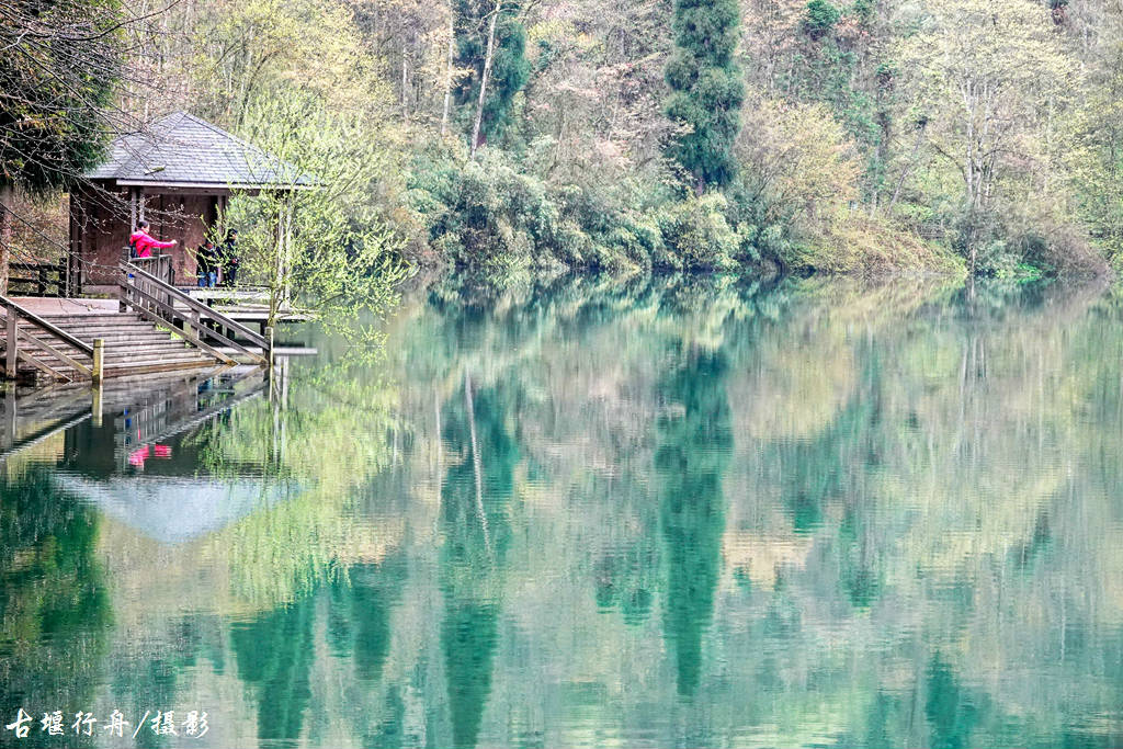 龙池杜鹃花印