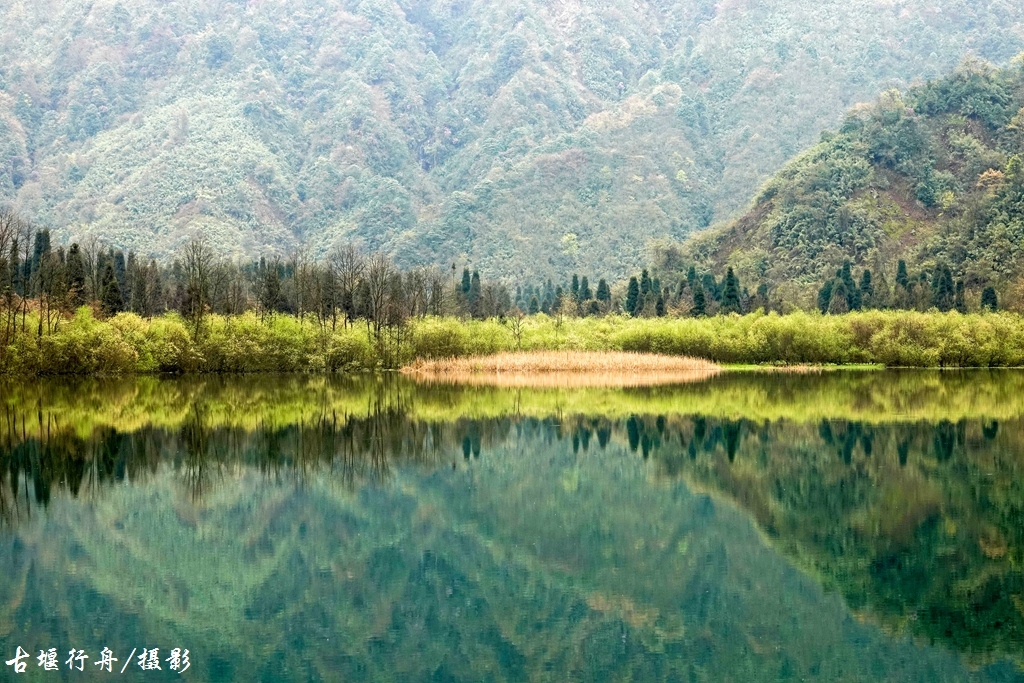 龙池杜鹃花印