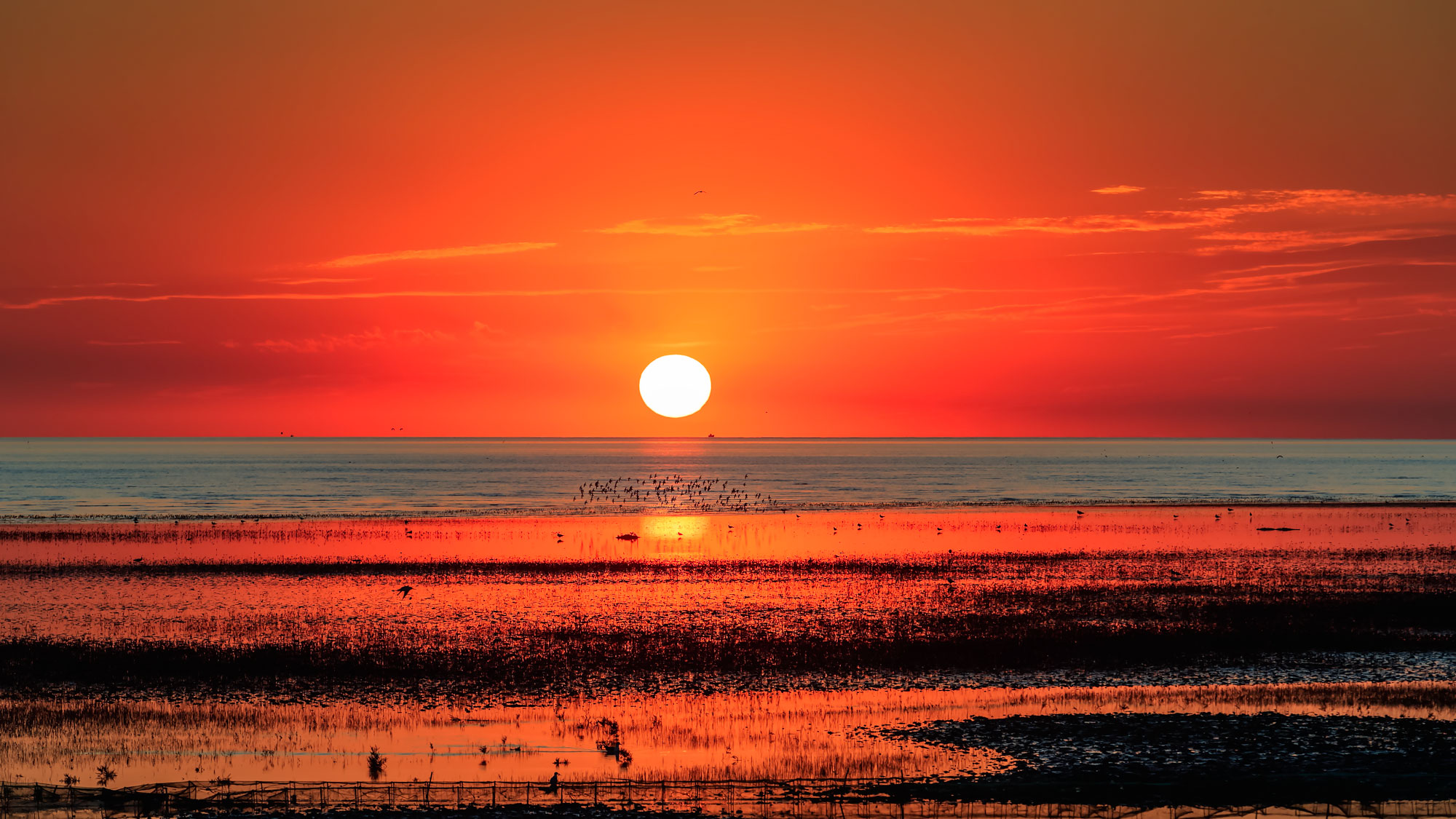 夕阳红图片壁纸图片