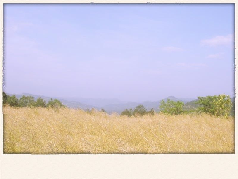20190502_7538724_1556758698094.jpg