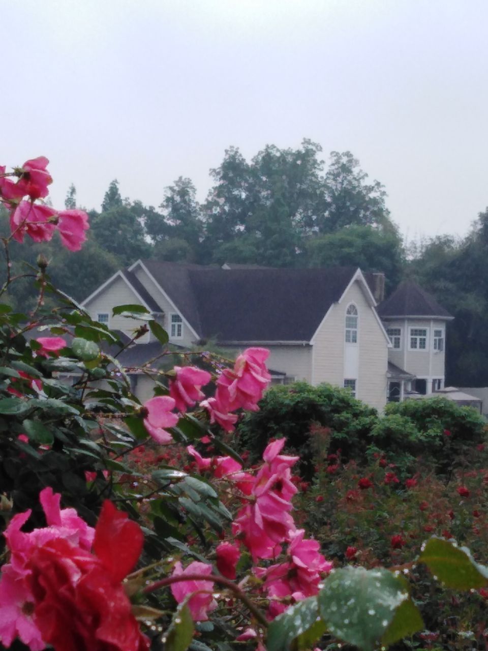 20190504_7464166_1556973694534.jpg