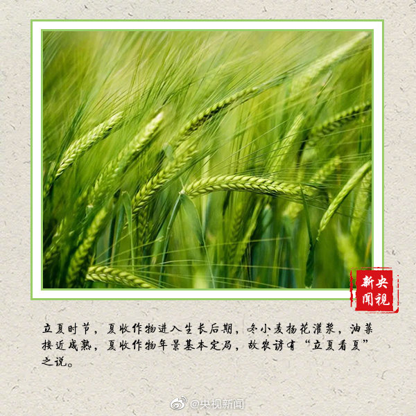 162238qpehpop87bb3jp1z.jpg