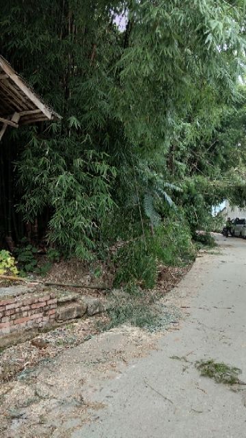 20190505_7598326_1557061726766.jpg