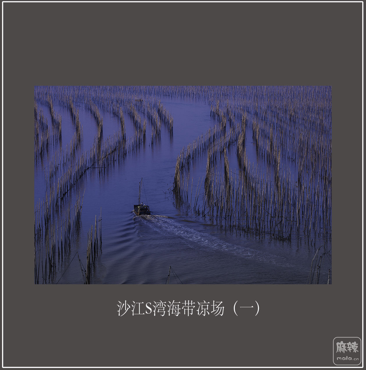 ɳS庣1.jpg