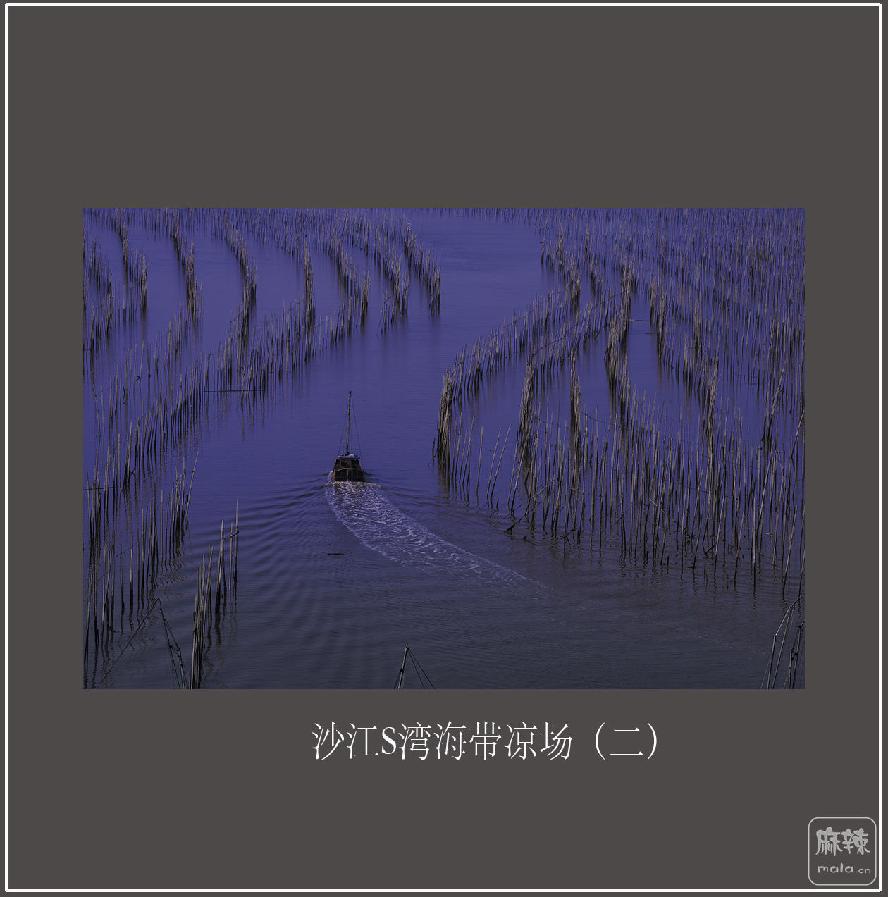 ɳS庣2.jpg