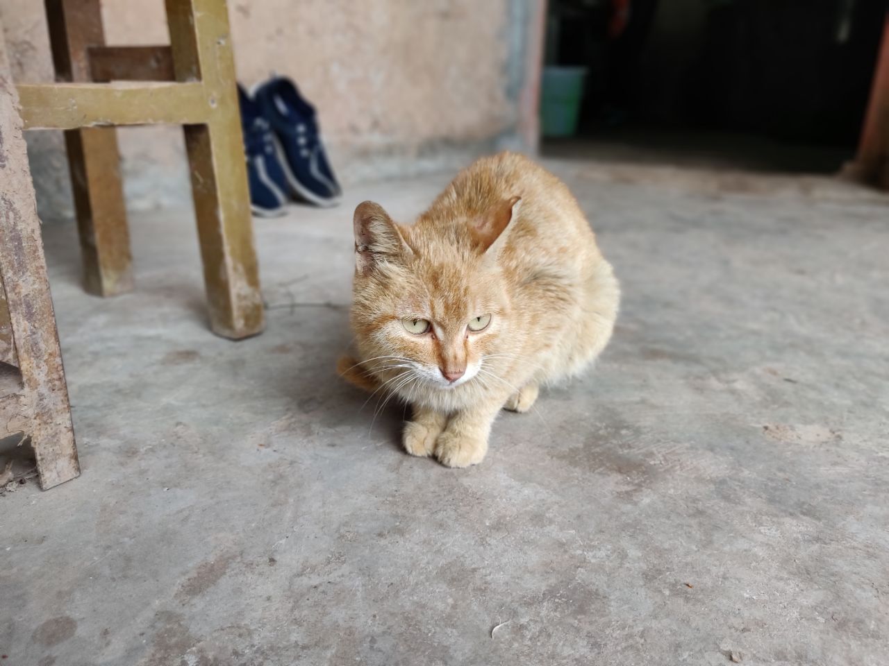 20190508_1348414_1557286401142.jpg