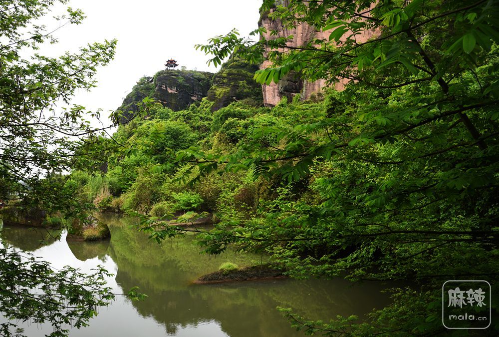 龙虎山桃花洲图片