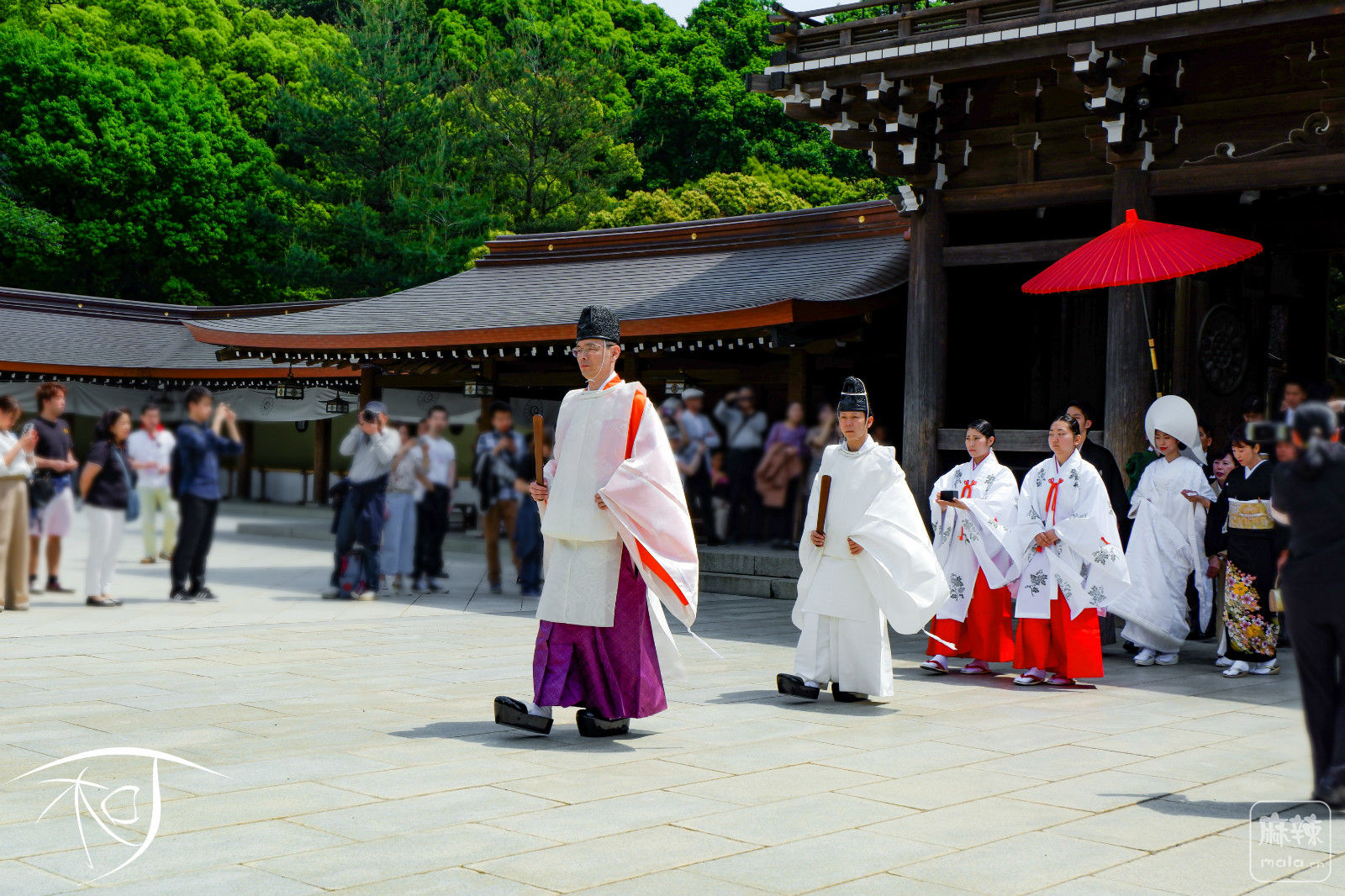 日本神前式婚礼服装图片