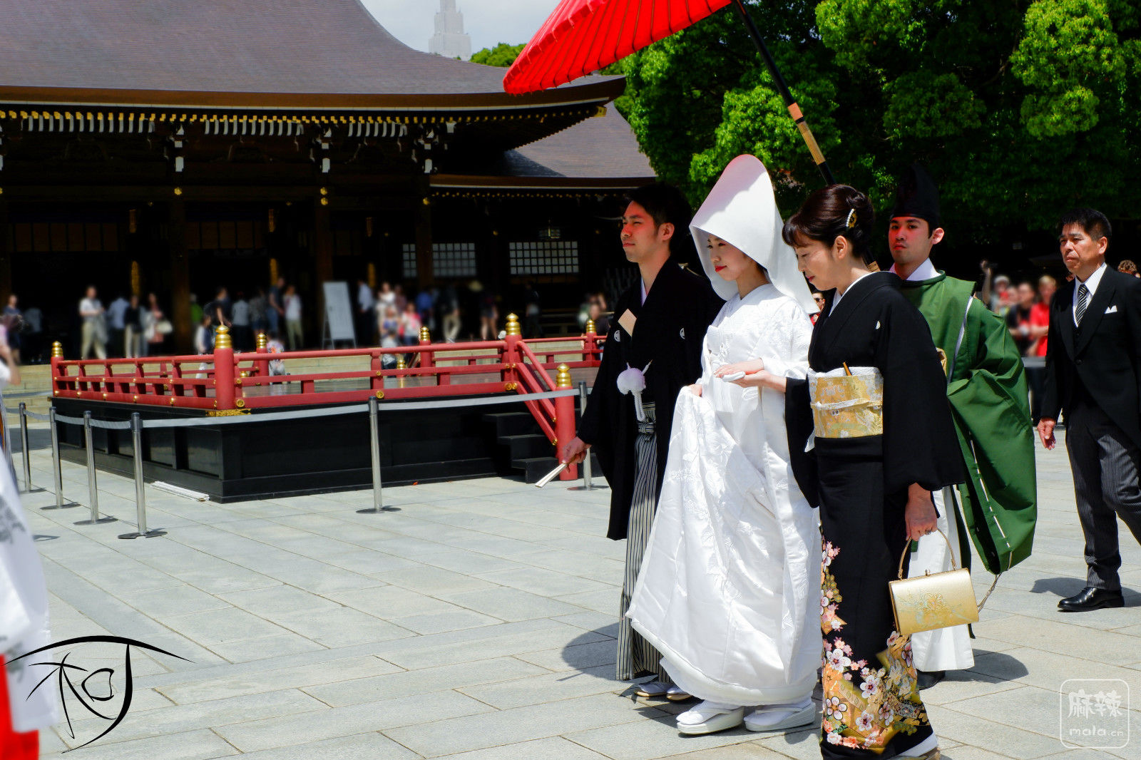 日本神前式婚礼服装图片