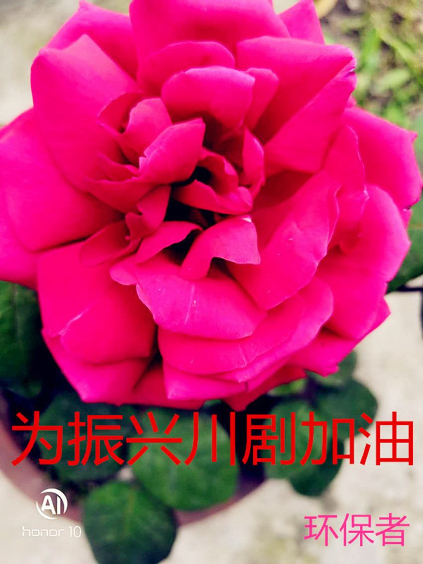 072236uhacjgbgzixxcdj0.jpg