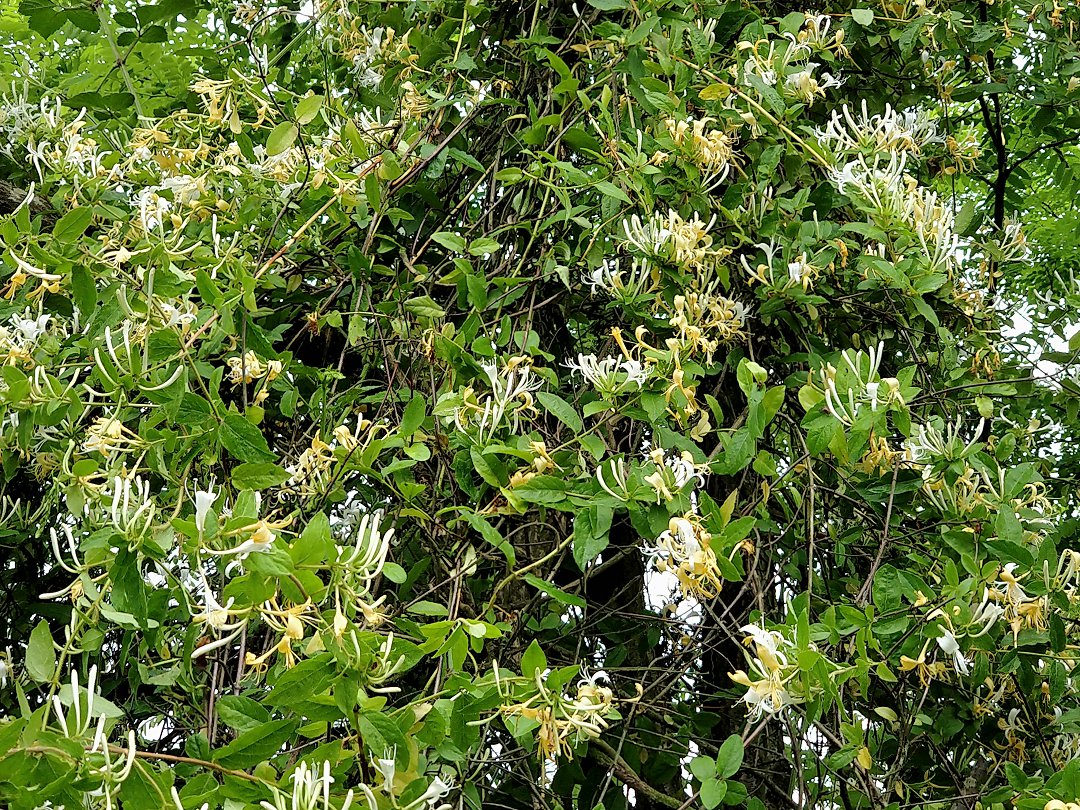 P90502-094719.jpg