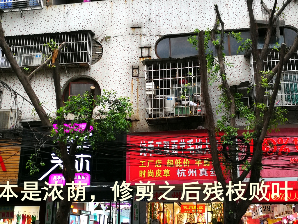 095622vubq5bh8784eawaz.jpg