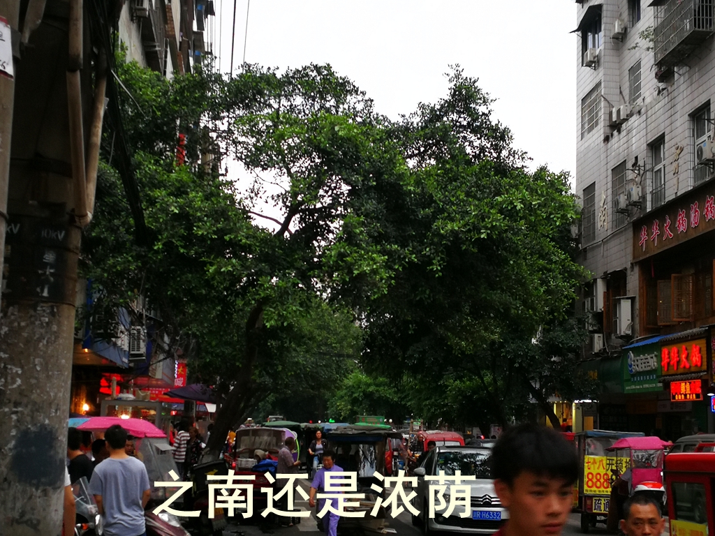 IMG_20190515_182055_.jpg