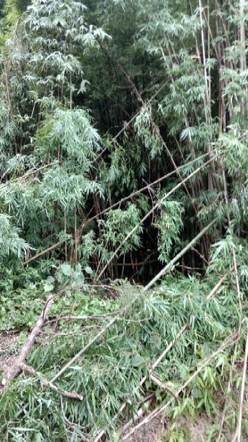20190518_7599480_1558173610234.jpg