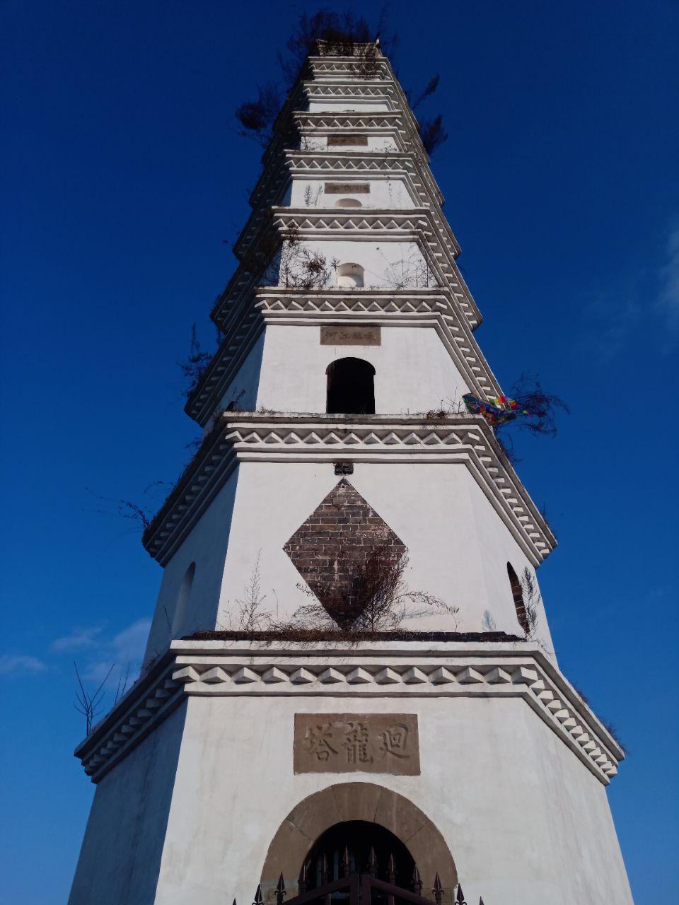 20190518_7461717_1558179328941.jpg