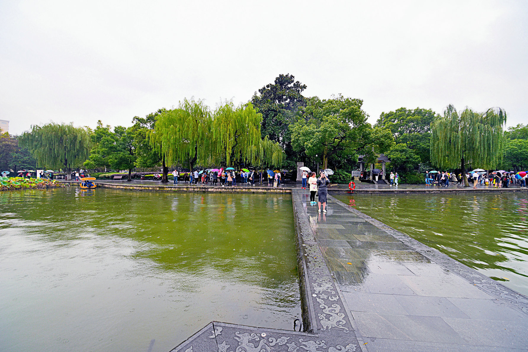 GLN_1382 (2)-1.JPG