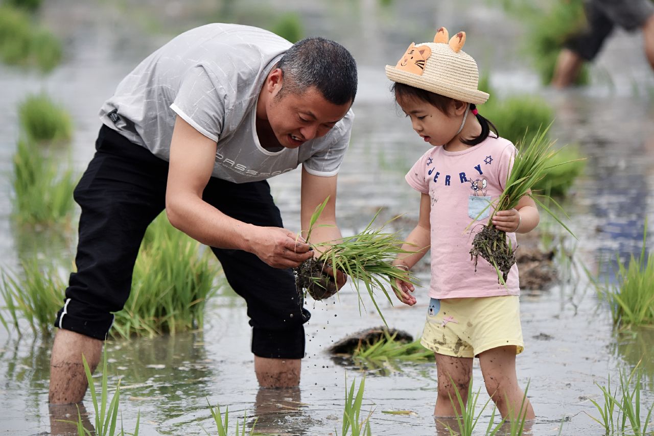 欢乐田园“欢乐小农夫·插秧夏令营”活动圆满落幕_光明网