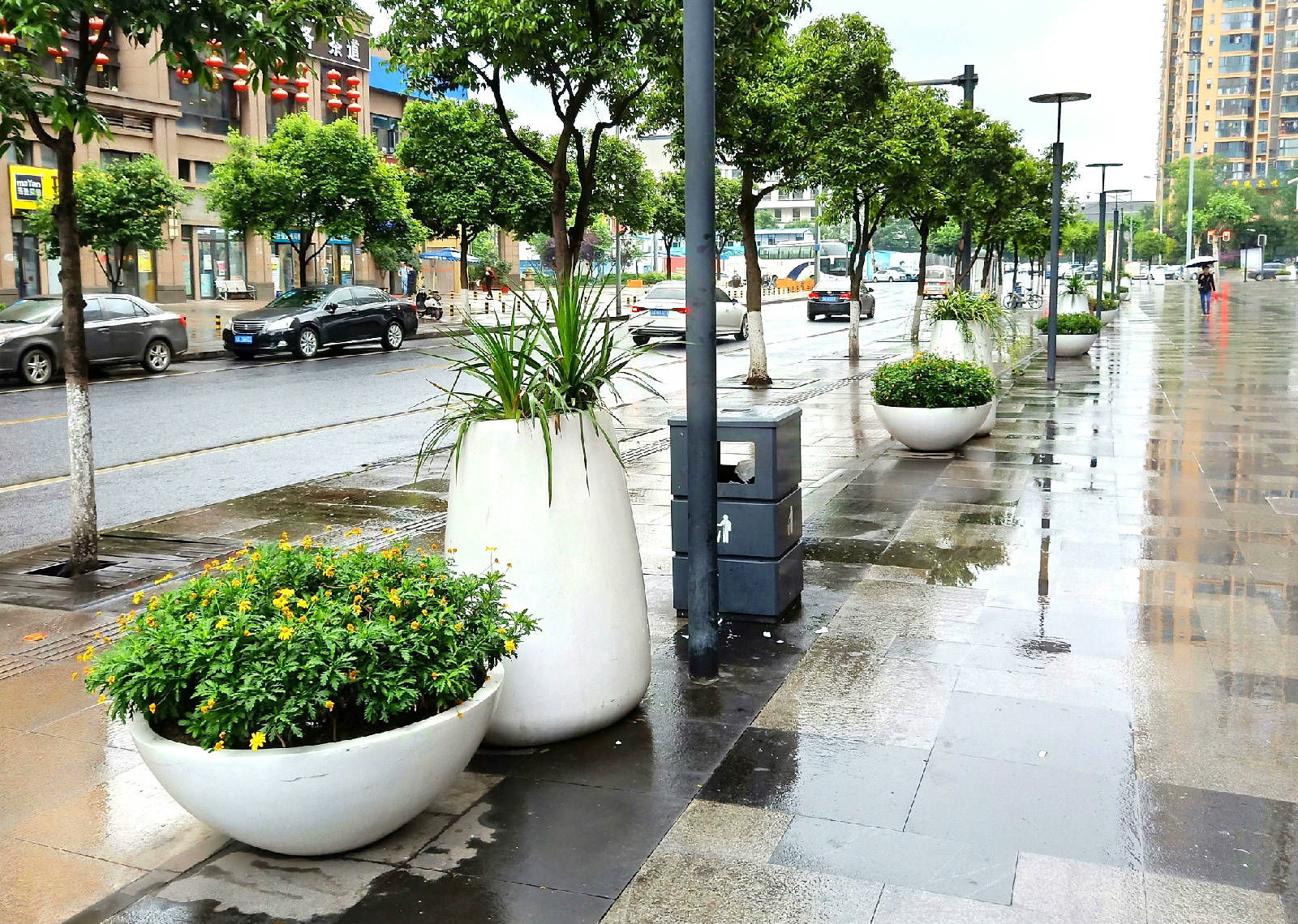 游春赏景！到广州市文化馆沉浸式欣赏岭南盆景