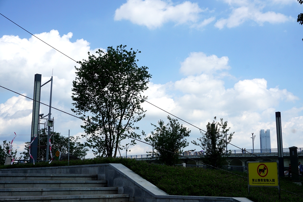 100313m95sijd7dasdsm5a.jpg
