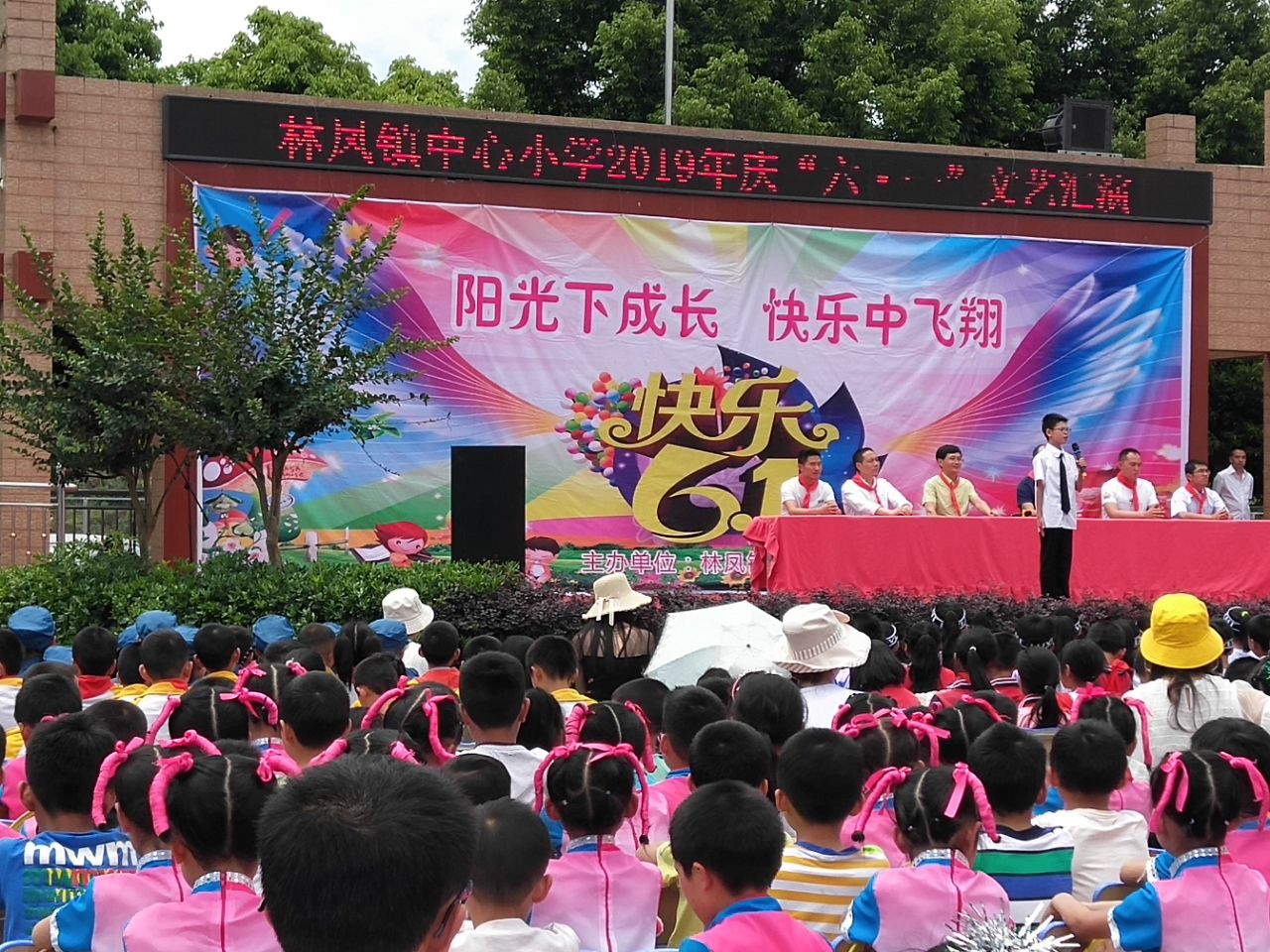 安岳县林凤小学图片