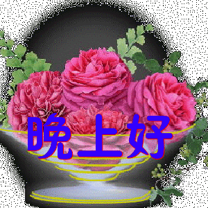 211831uke4r9nr2ndxvfyd.gif