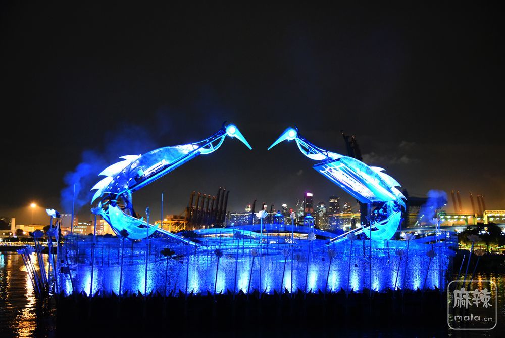 DSC_2492_.jpg