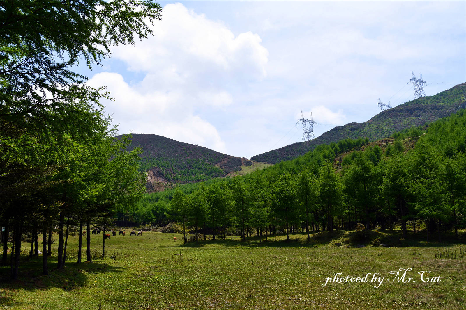 DSC_6677_副本.jpg