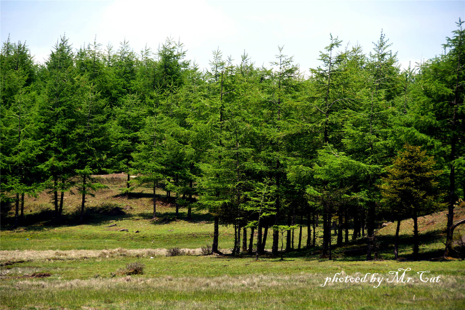 DSC_6815_副本.jpg