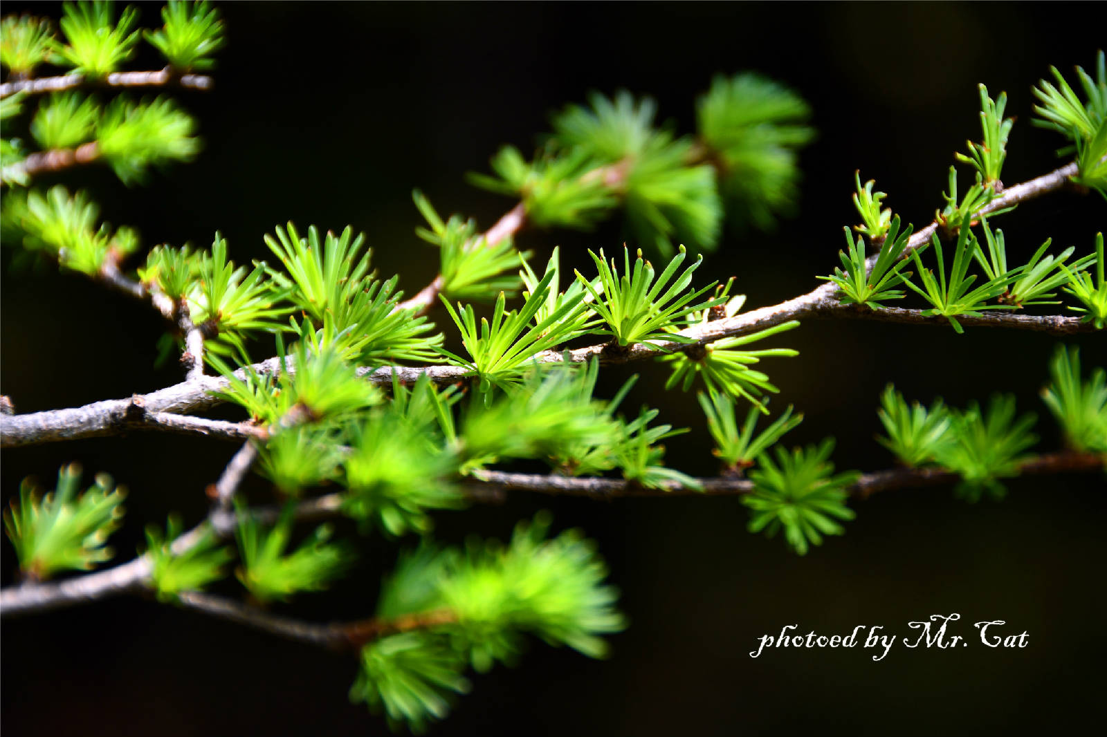 DSC_6666_副本.jpg