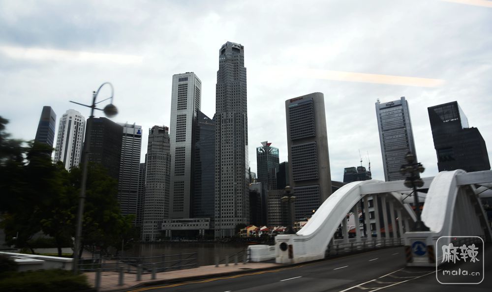 DSC_2353_.jpg