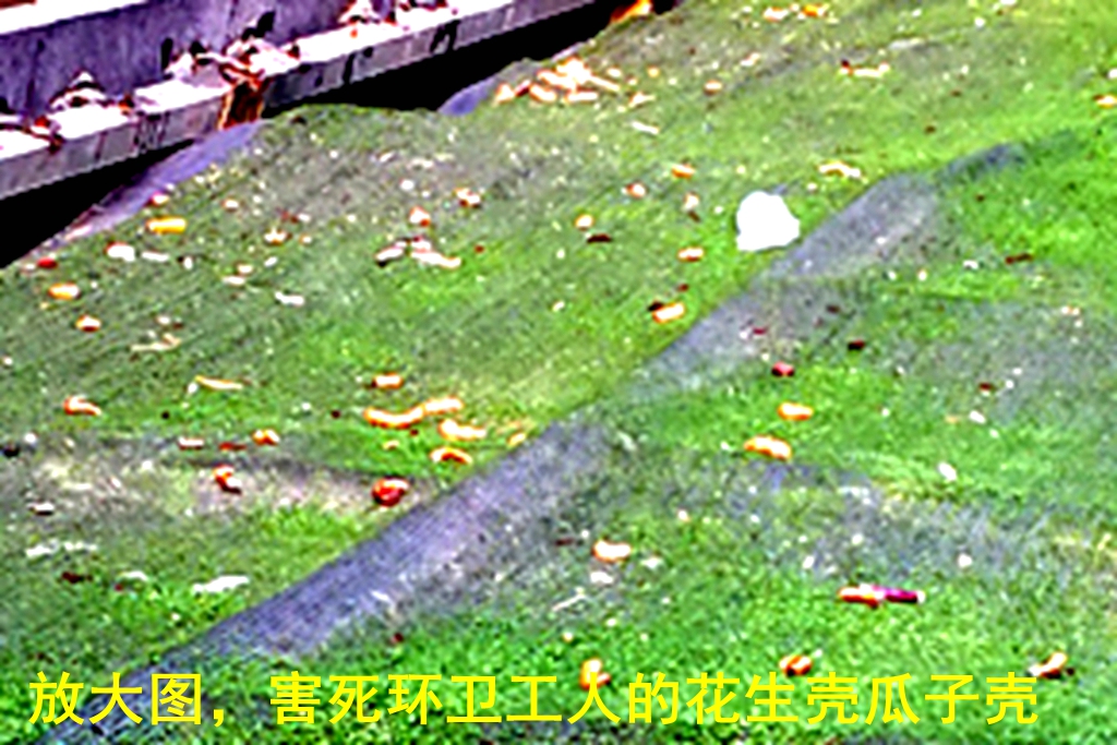 IMG_20190603_191715_副本_副本.jpg