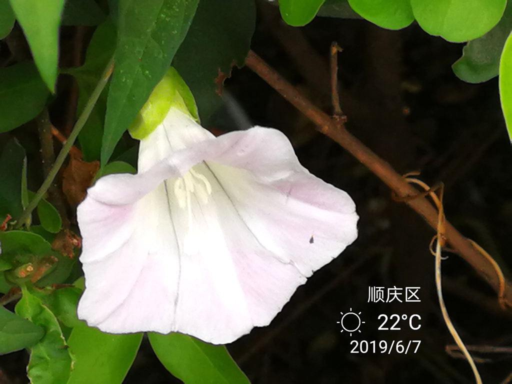 IMG_20190607_112859_副本_副本.jpg