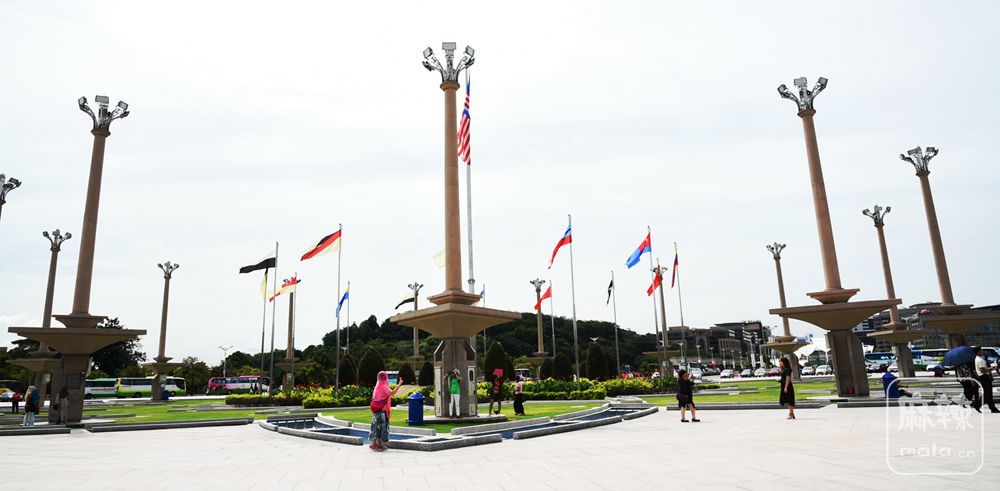 DSC_3168_.jpg