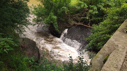 IMG_20190607_100945.jpg