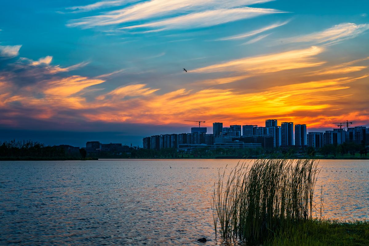 20190608_7602450_1560006516864.jpg