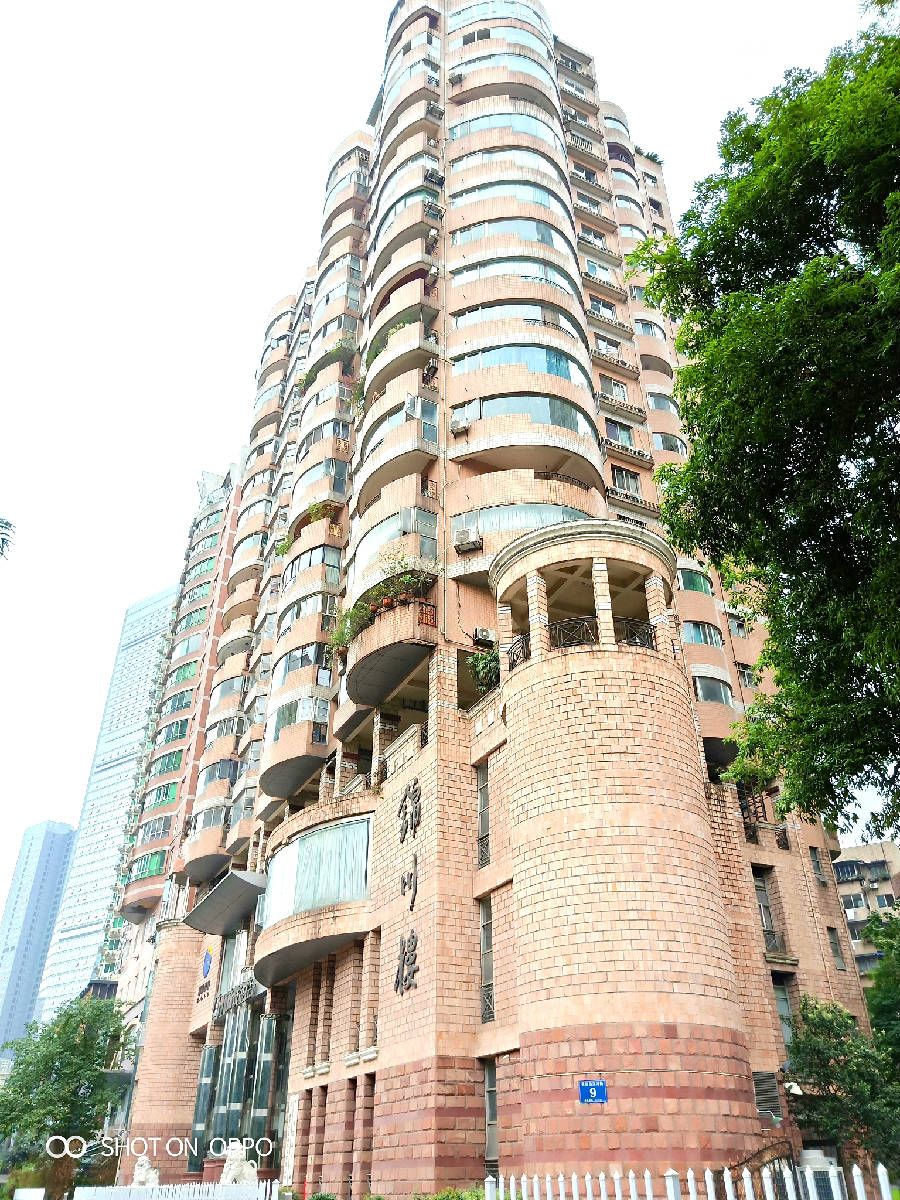 IMG20190608164812_看图