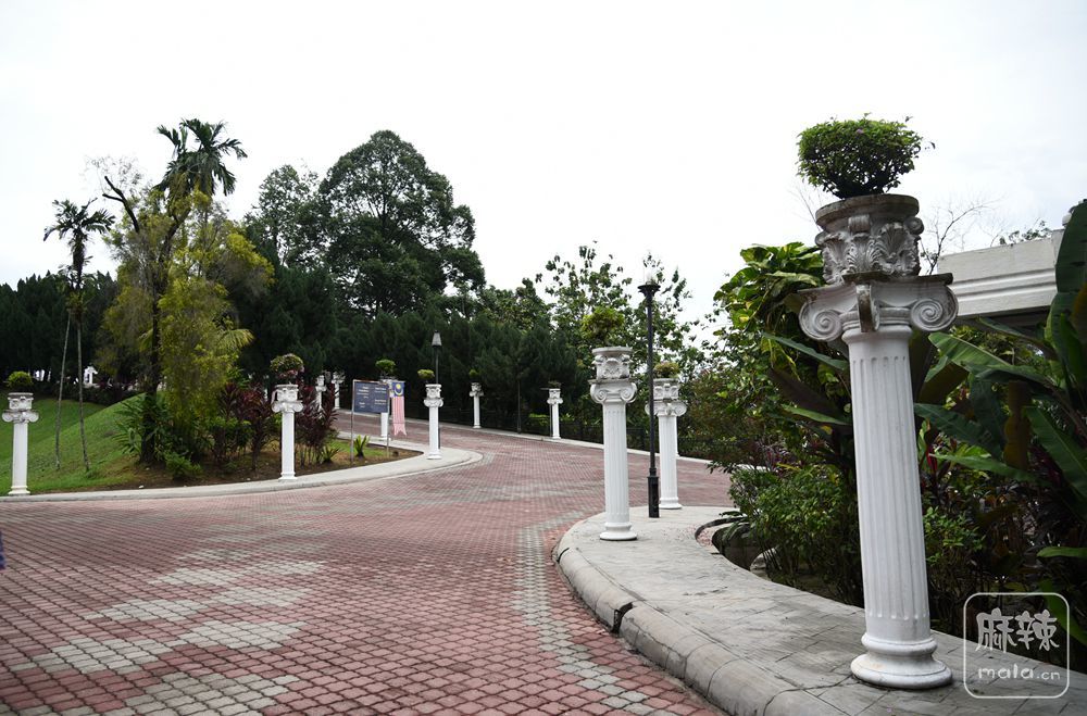 DSC_3722_.jpg
