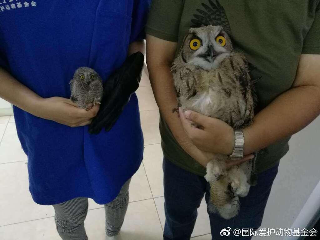 QQͼƬ20190611190842.jpg