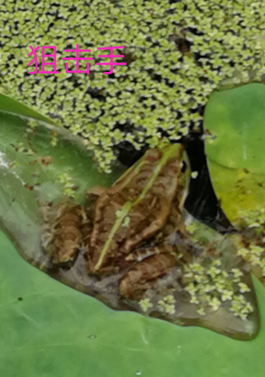 20190612_6080161_1560296832392.png