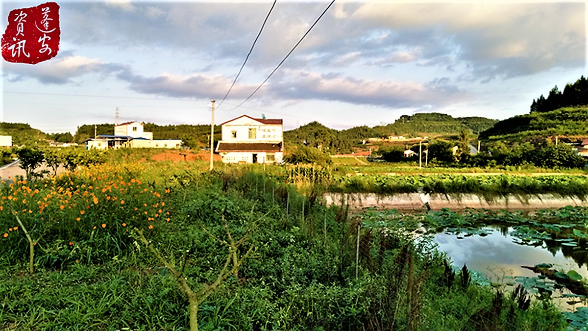 IMG_20190612_191520.jpg